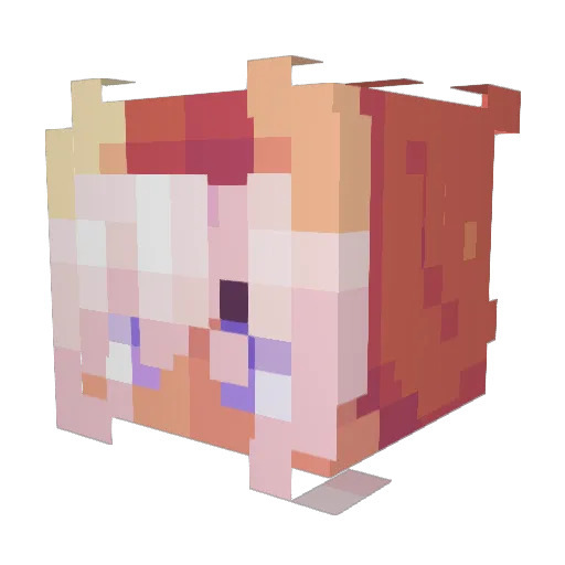 jafalafa Minecraft avatar head, 3D render