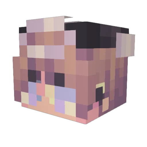 jaffacakers Minecraft avatar head, 3D render