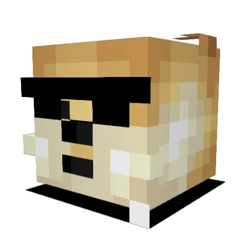 jagalchi1 Minecraft avatar head, 3D render