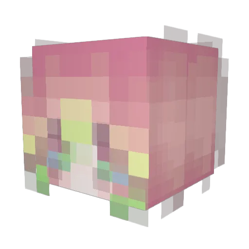 jai_lee_ Minecraft avatar head, 3D render