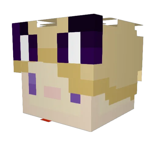 jaidendot Minecraft avatar head, 3D render