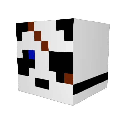 jaidendude227 Minecraft avatar head, 3D render