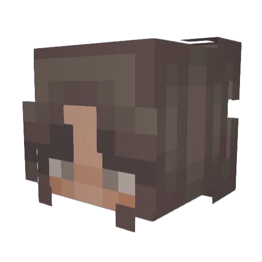 jaidyn_MC Minecraft avatar head, 3D render