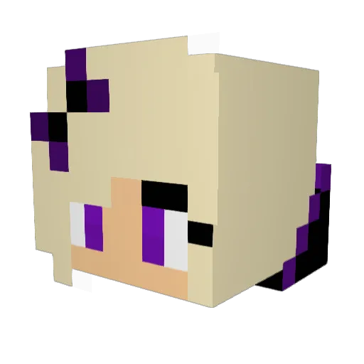 jaimedowen Minecraft avatar head, 3D render