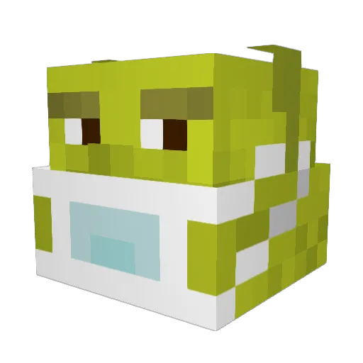 jaimin123556 Minecraft avatar head, 3D render