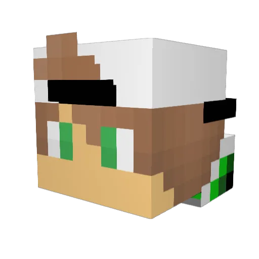 jair52006 Minecraft avatar head, 3D render
