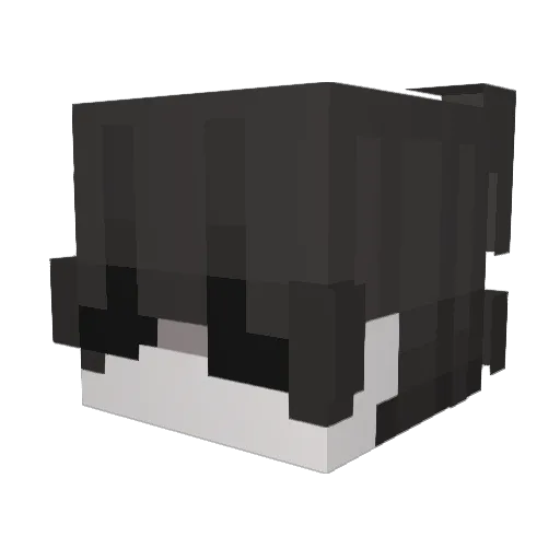 jairnoban Minecraft avatar head, 3D render