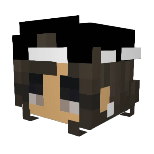 jaja2412 Minecraft avatar head, 3D render