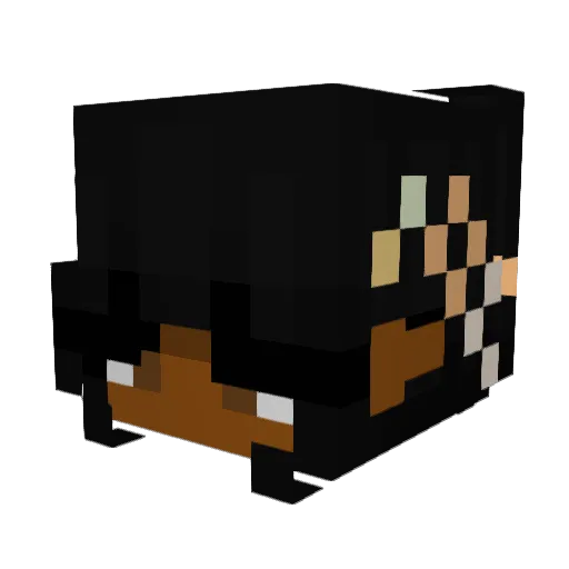 jajaaaaang Minecraft avatar head, 3D render