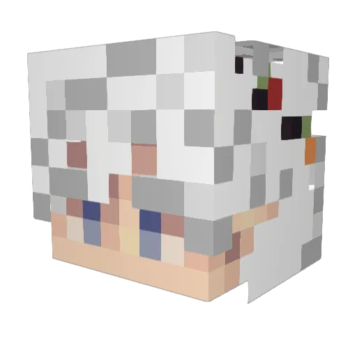 jajankenpo Minecraft avatar head, 3D render