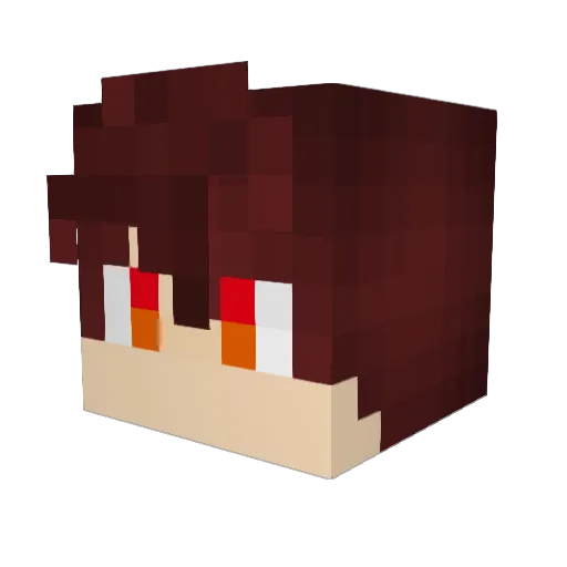 Minecraft-Avatar von jake32155712384: Kopf als 3D-Render