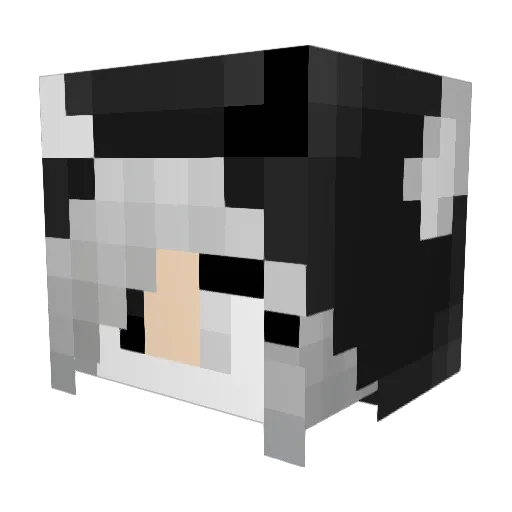jake6454 Minecraft avatar head, 3D render