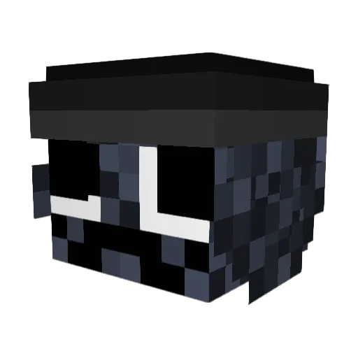 jakecake2 Minecraft avatar head, 3D render