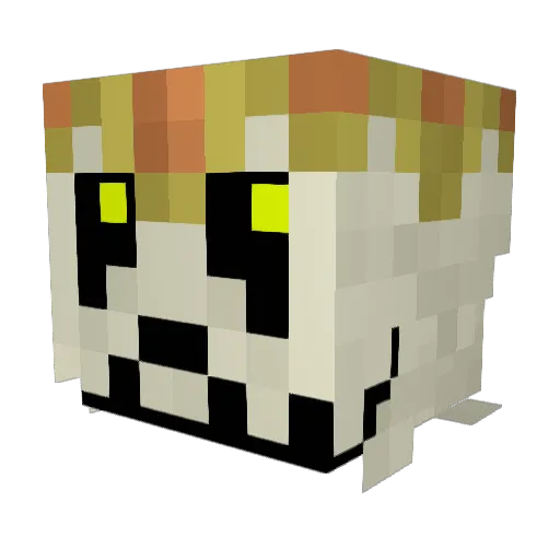 jakecoon16 Minecraft avatar head, 3D render