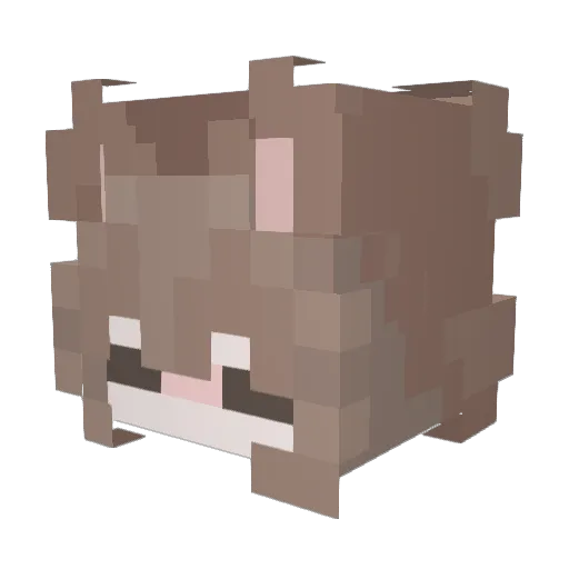jakecu Minecraft avatar head, 3D render