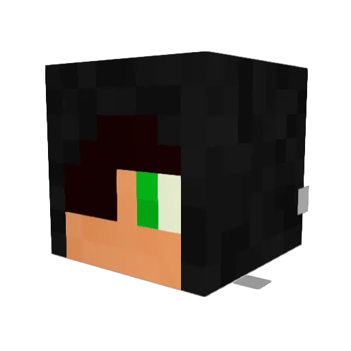 jakedog88 Minecraft avatar head, 3D render