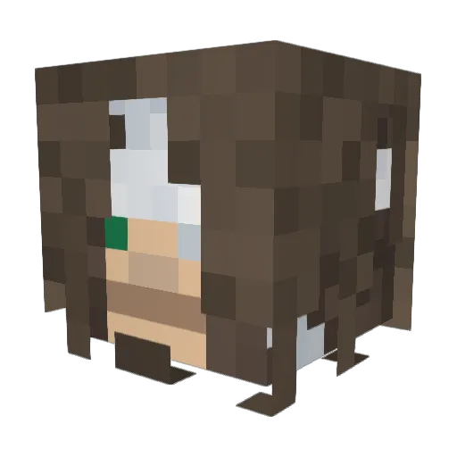 jakejake1928 Minecraft avatar head, 3D render