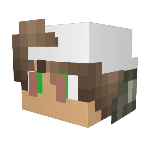 jakejake2004 Minecraft avatar head, 3D render