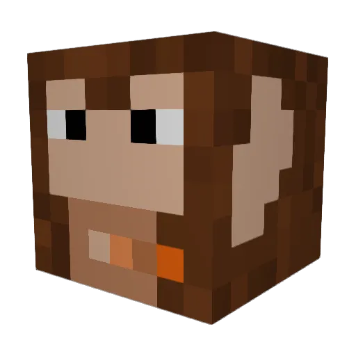 jakelc2005 Minecraft avatar head, 3D render