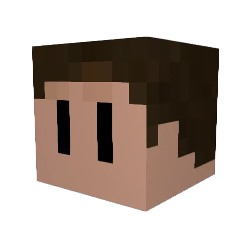 jakelol50 Minecraft avatar head, 3D render