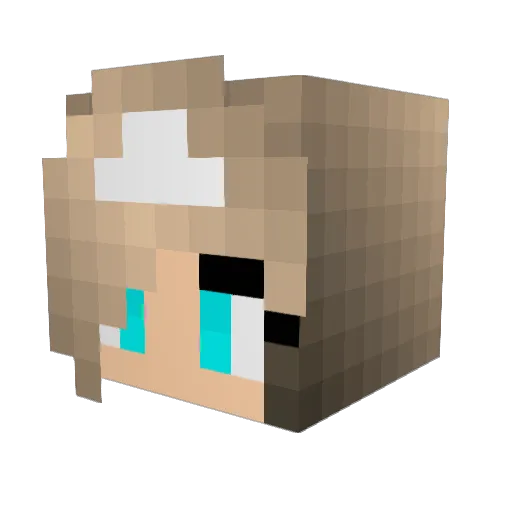 jakenjacob Minecraft avatar head, 3D render