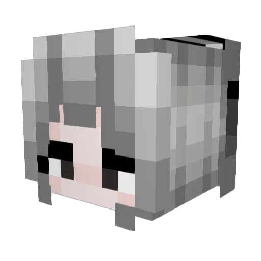 jakerooooo Minecraft avatar head, 3D render