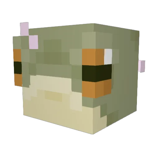 jakers_12 Minecraft avatar head, 3D render