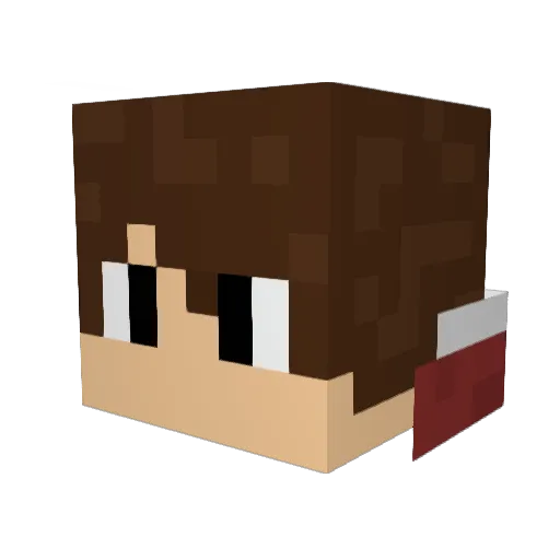 jakestorm11 Minecraft avatar head, 3D render