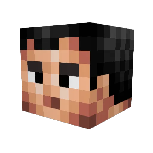jakewu123 Minecraft avatar head, 3D render