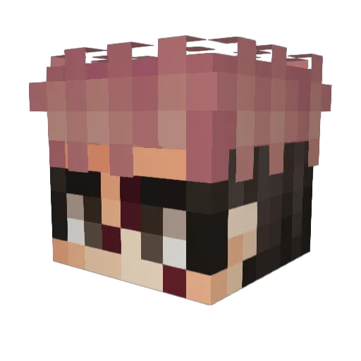 jakimik Minecraft avatar head, 3D render