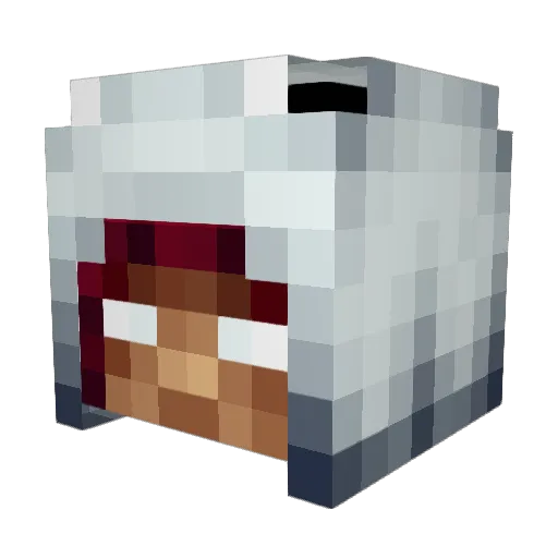 jakob565 Minecraft avatar head, 3D render