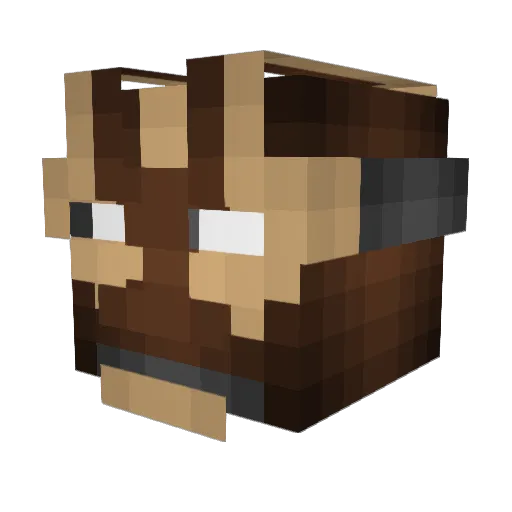 jakobstoney Minecraft avatar head, 3D render