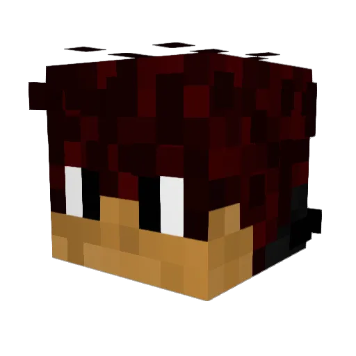 jakubek696969 Minecraft avatar head, 3D render