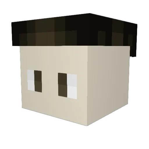 jakubera Minecraft avatar head, 3D render