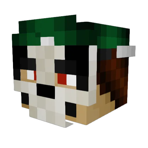 jaky40 Minecraft avatar head, 3D render
