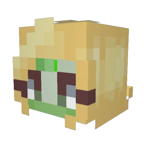 jalea98 Minecraft avatar head, 3D render