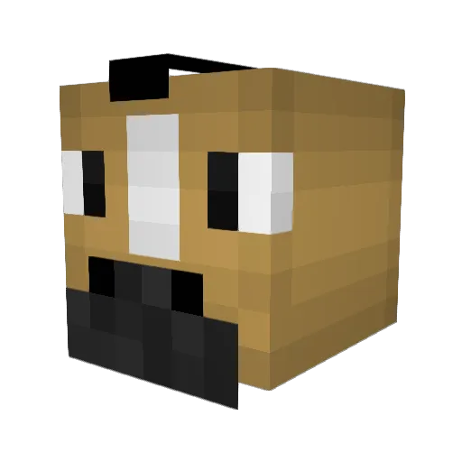 jallard69420 Minecraft avatar head, 3D render