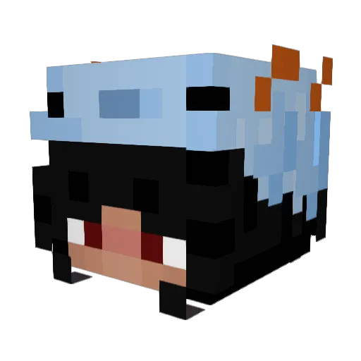 jalmine22 Minecraft avatar head, 3D render