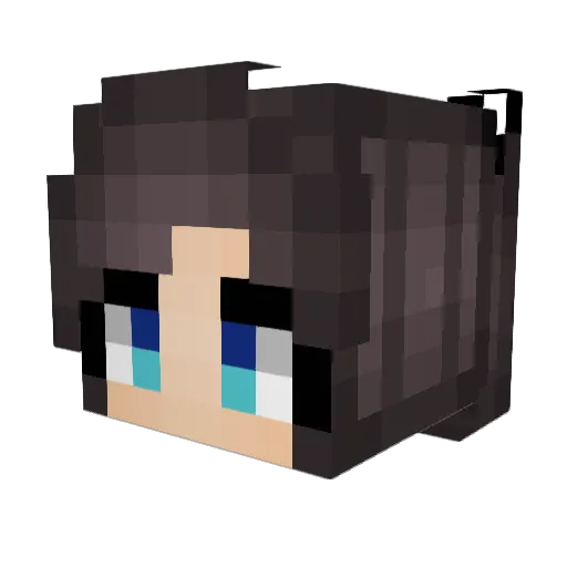 jam1012 Minecraft avatar head, 3D render