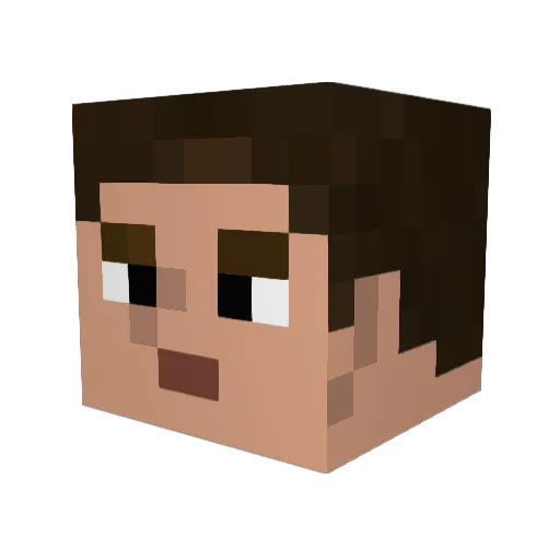 jam294 Minecraft avatar head, 3D render