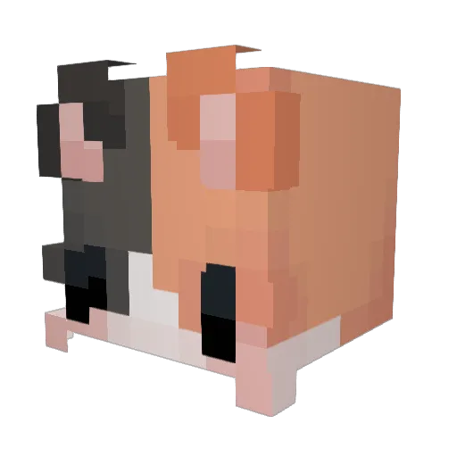 jam_jam__ Minecraft avatar head, 3D render
