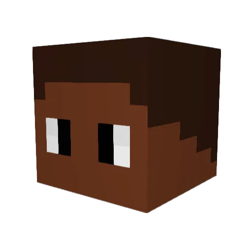 jamalsjones Minecraft avatar head, 3D render