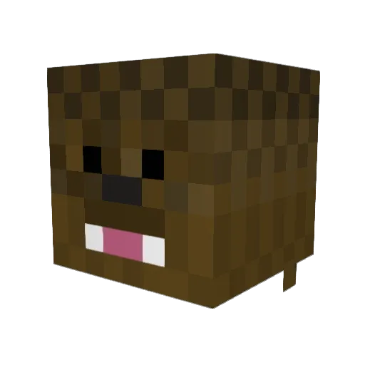 jamas6 Minecraft avatar head, 3D render