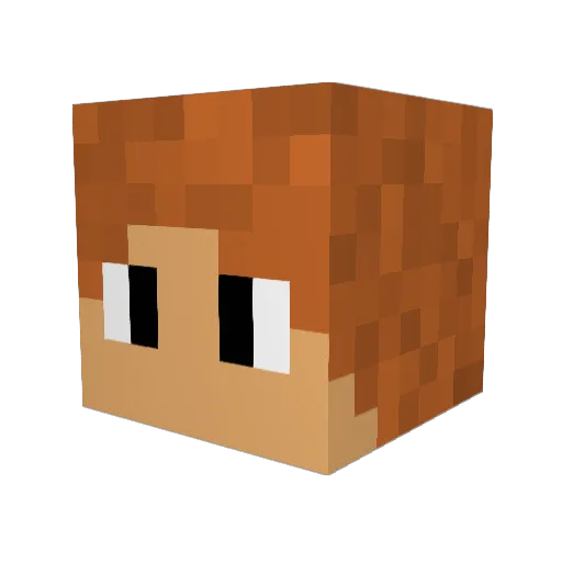 jamball2 Minecraft avatar head, 3D render