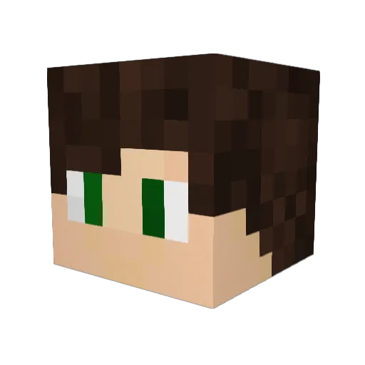 jamdrugstore Minecraft avatar head, 3D render