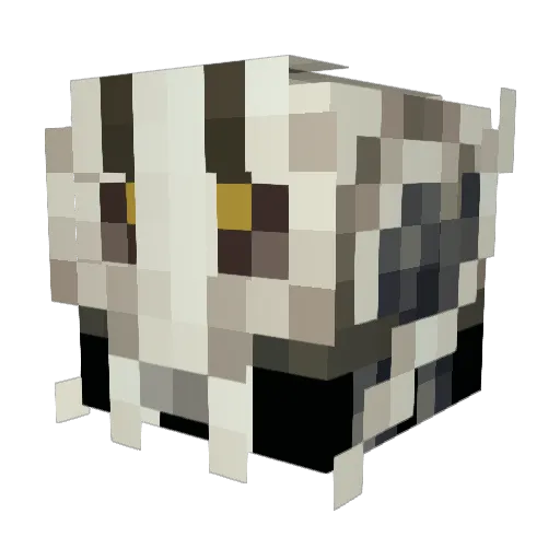 jame162002 Minecraft avatar head, 3D render