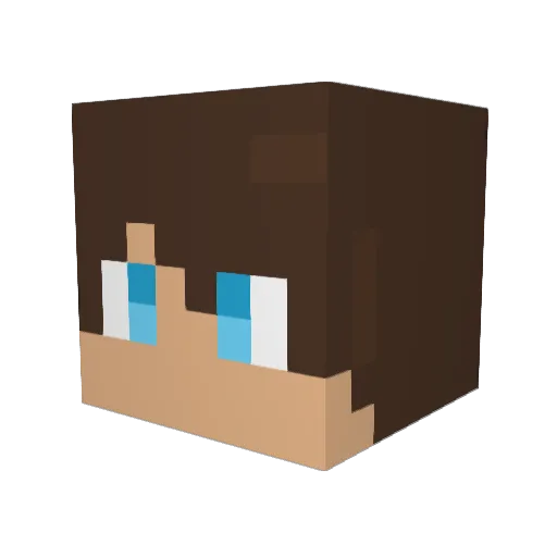 jameds Minecraft avatar head, 3D render