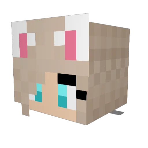 jameegamer Minecraft avatar head, 3D render