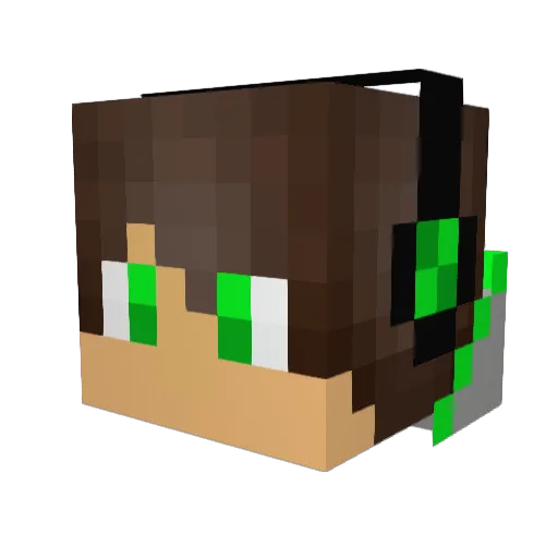 james20022004 Minecraft avatar head, 3D render