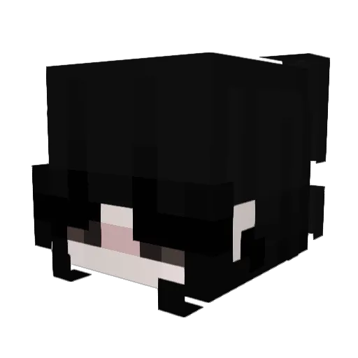 james2121_ Minecraft avatar head, 3D render